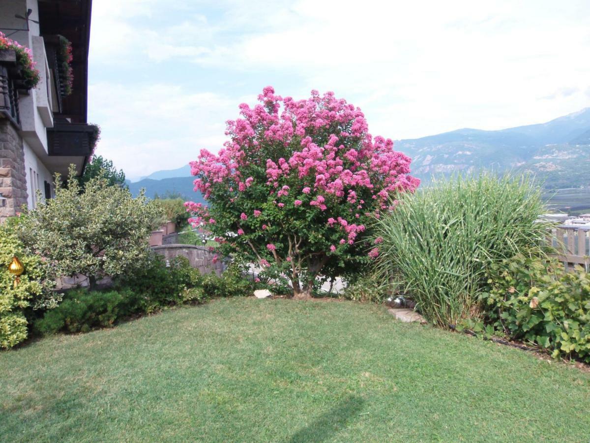 Hotel Garni Runggner Traubenhof Termeno Esterno foto